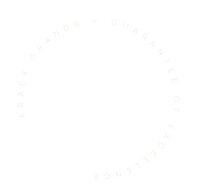 logo-text