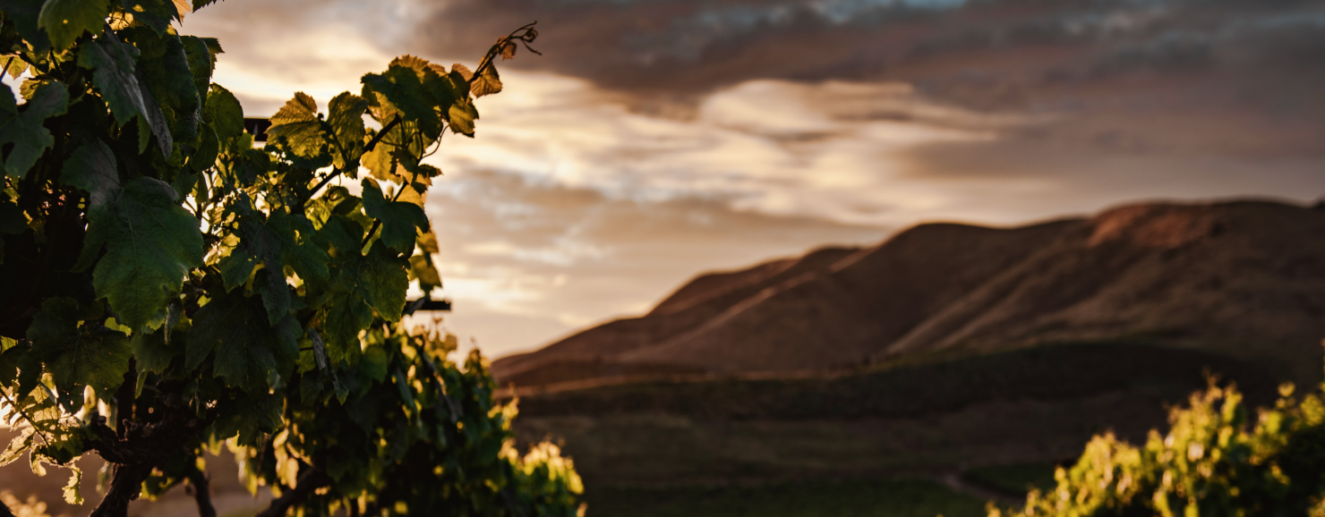 christopher-campbell-h9Rx3zOYZws-unsplash 1