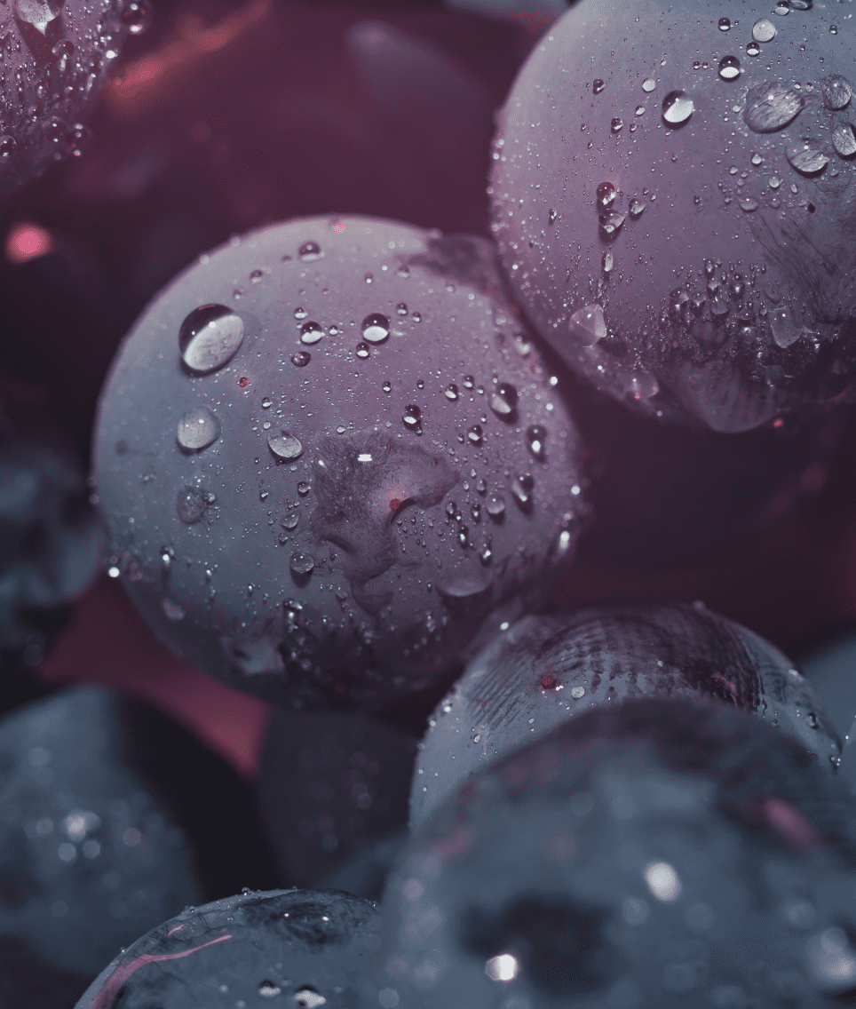 Araex_rioja_1.64 1 (1)