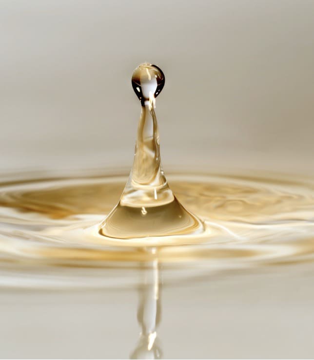 gota